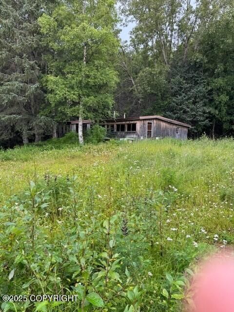 Vacant Land For Sale - TR A-3 Pomeroy Road<br/> Homer, AK 99603