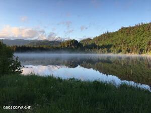 Tr A-3 SW Pomeroy Road, Homer, Alaska image 6
