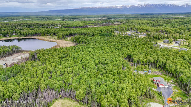 6458 W Creeksedge Drive, Wasilla, Alaska image 13