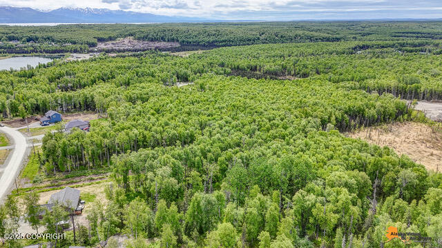 6458 W Creeksedge Drive, Wasilla, Alaska image 2