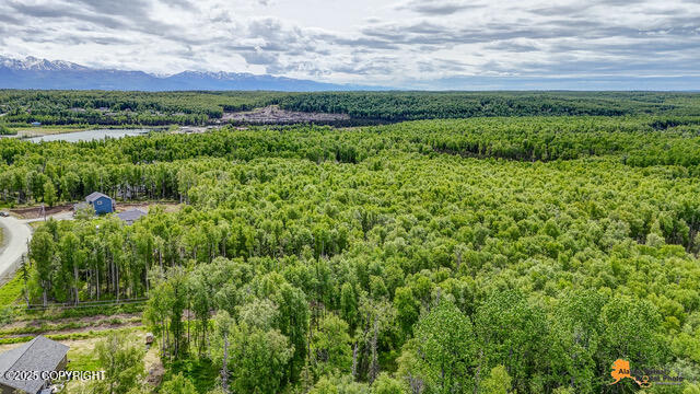 6458 W Creeksedge Drive, Wasilla, Alaska image 9