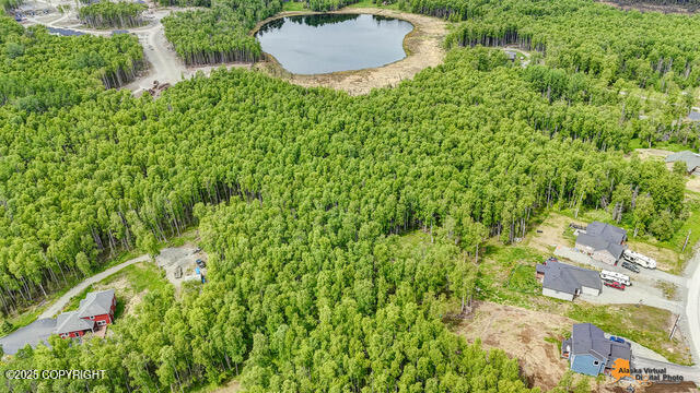 6458 W Creeksedge Drive, Wasilla, Alaska image 5