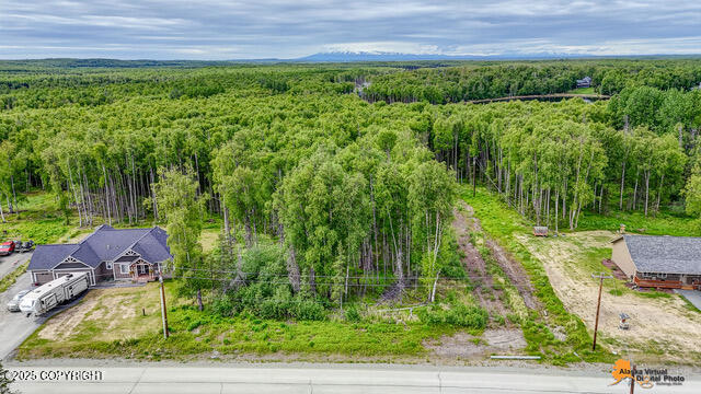 6458 W Creeksedge Drive, Wasilla, Alaska image 7