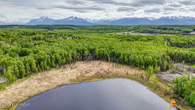 6458 W Creeksedge Drive, Wasilla, Alaska image 10