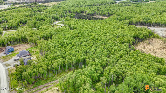 6458 W Creeksedge Drive, Wasilla, Alaska image 12