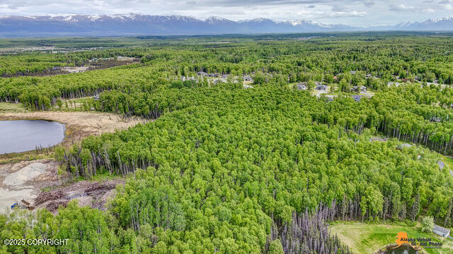 6458 W Creeksedge Drive, Wasilla, Alaska image 4