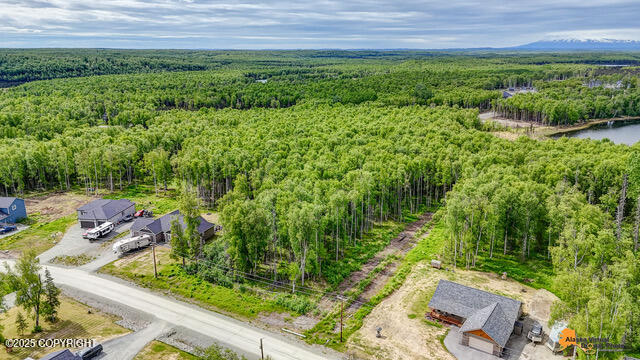 6458 W Creeksedge Drive, Wasilla, Alaska image 8