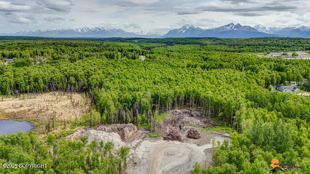 6458 W Creeksedge Drive, Wasilla, Alaska image 21