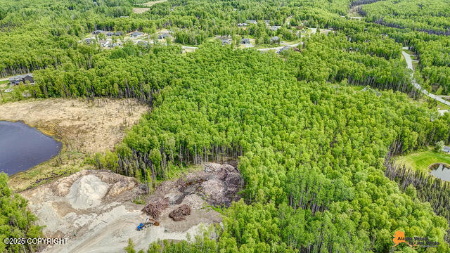 6458 W Creeksedge Drive, Wasilla, Alaska image 23