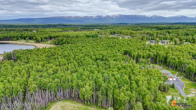 6458 W Creeksedge Drive, Wasilla, Alaska image 15