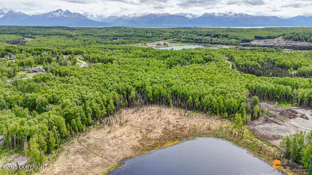 6458 W Creeksedge Drive, Wasilla, Alaska image 3