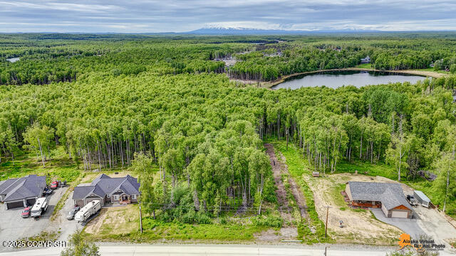 6458 W Creeksedge Drive, Wasilla, Alaska image 11