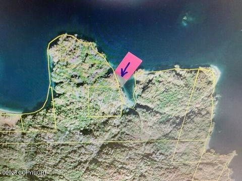Photo of TL 2006 Zachar Bay, Larsen Bay, AK 99624 (MLS # 26-5673)