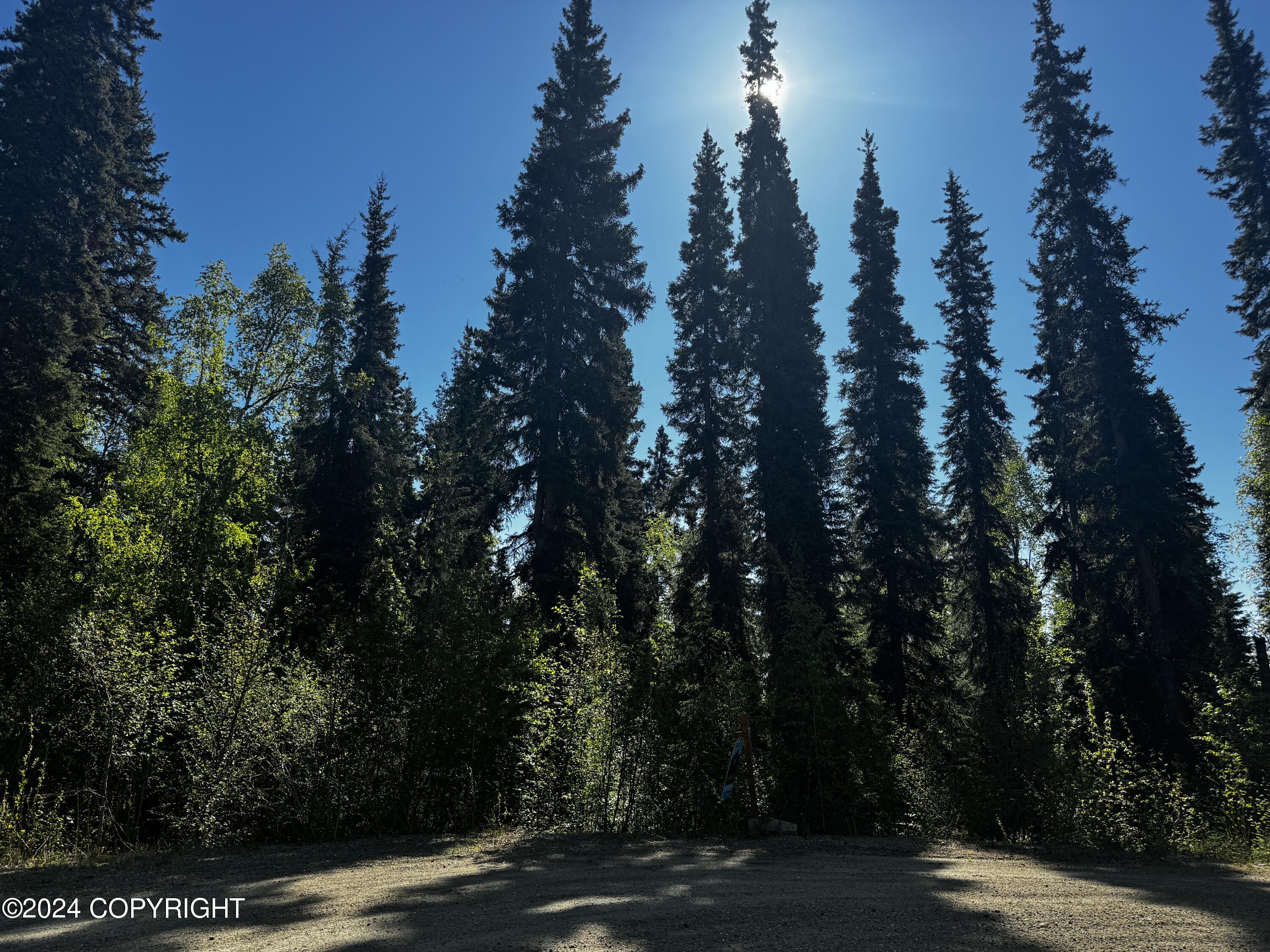 L17 B4 Gower Drive, Fairbanks, Alaska image 1