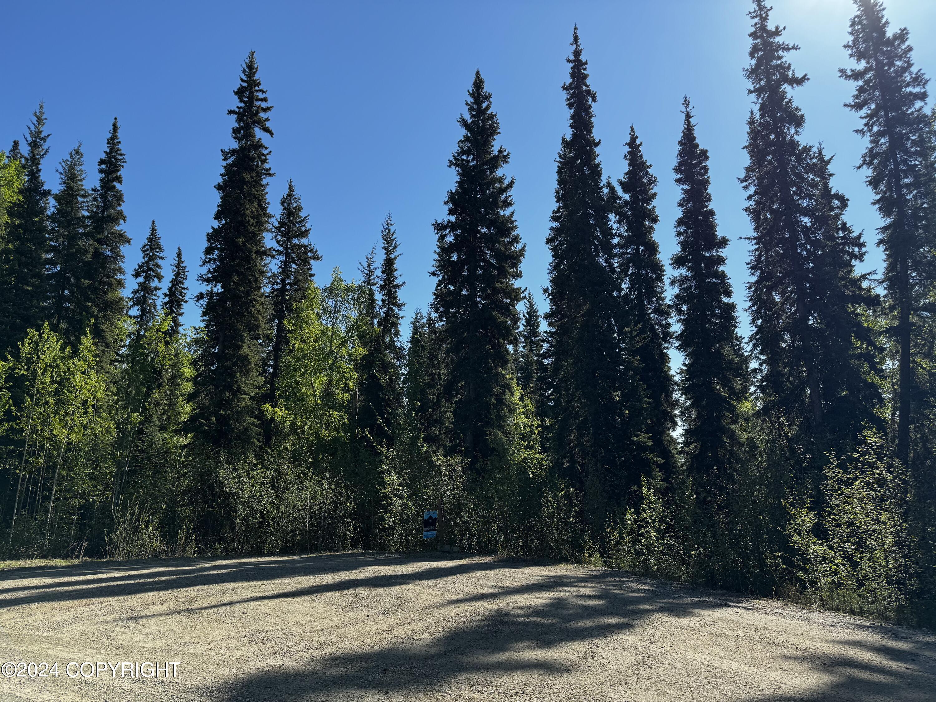 L17 B4 Gower Drive, Fairbanks, Alaska image 3