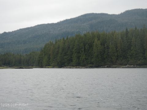 Photo of L8 B1 Thoms Place, Wrangell, AK 99929 (MLS # 25-11709) Photo of L8 B1 Thoms Place, Wrangell, AK 99929 (MLS # 25-11709)