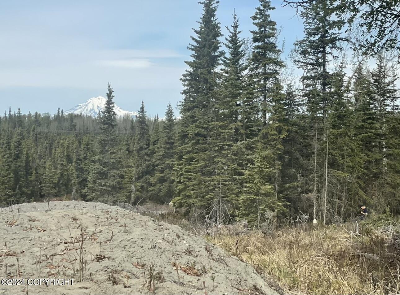TRACT 1 Clam Gulch Heights Sub, Clam Gulch, Alaska image 3