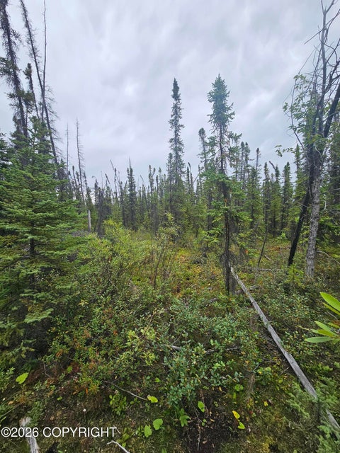 Vacant Land For Sale - L2 B2 Trapline Drive<br/> Copper Center, AK 99573