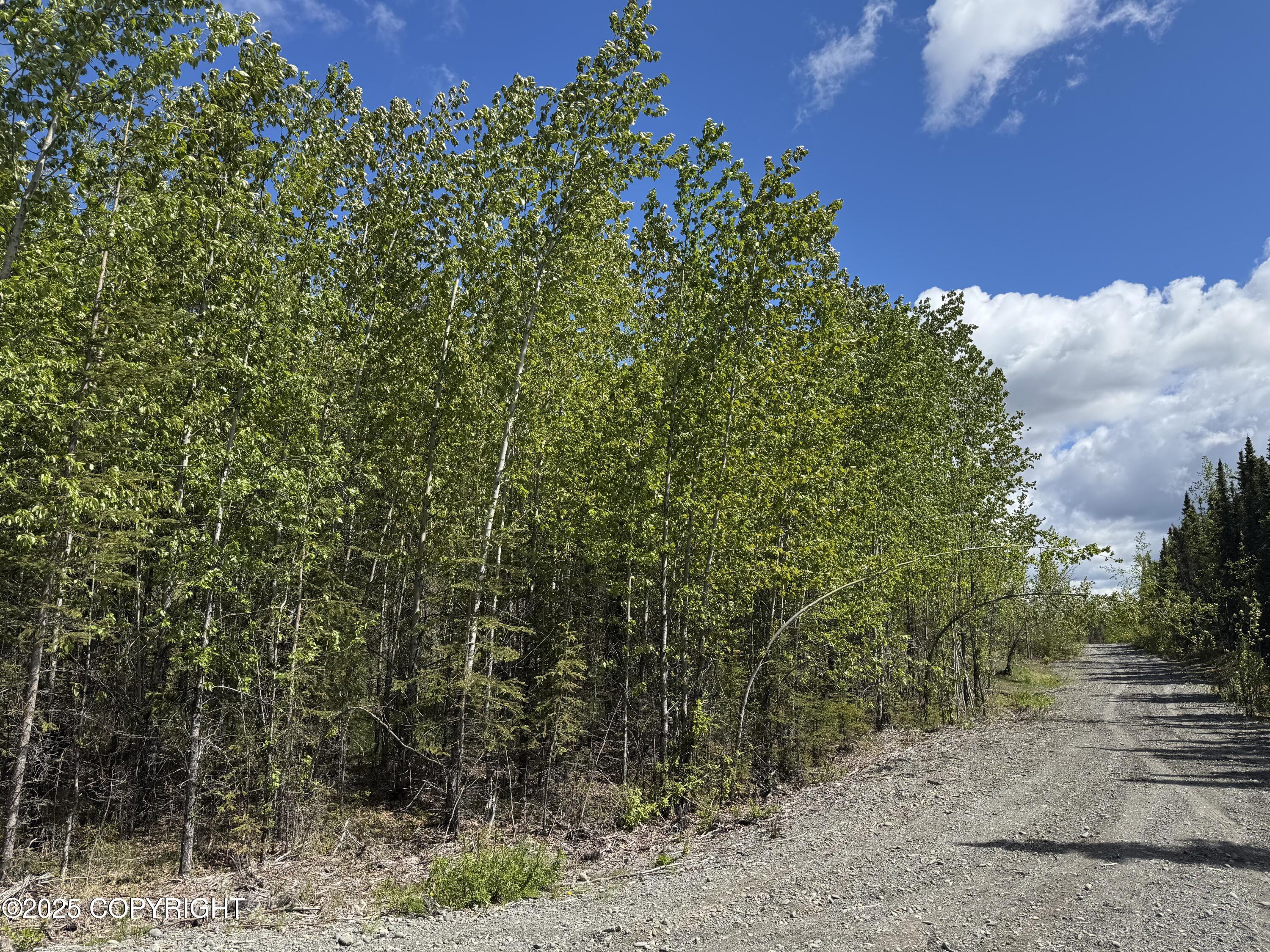 37050 Future Avenue, Sterling, Alaska image 1