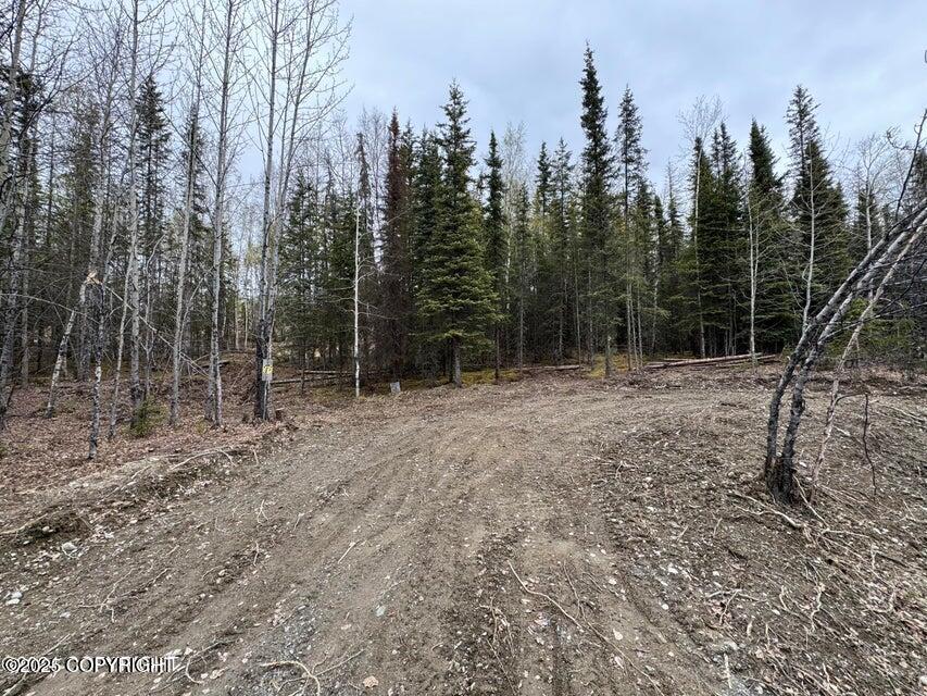 37050 Future Avenue, Sterling, Alaska image 3