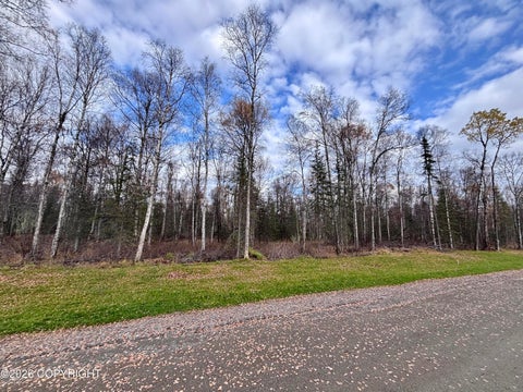 Photo of 14597 E Sculpin Street, Talkeetna, AK 99676 (MLS # 26-12830)