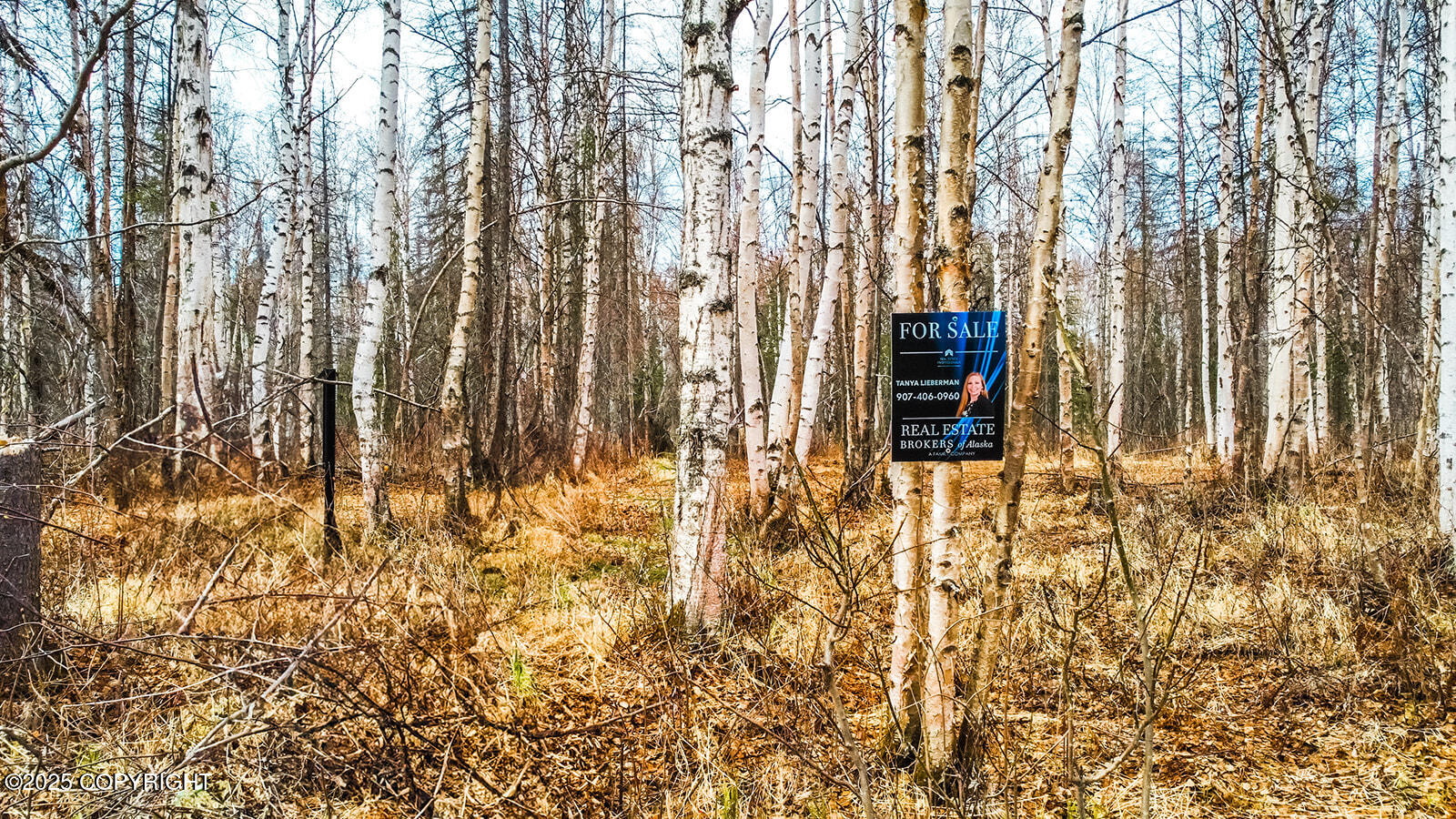 14637 E Susitna Landing Road, Willow, Alaska image 7