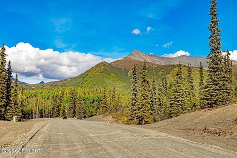 Photo of L7 S Red Rooster Road, Chickaloon, AK 99674 (MLS # 26-3657)