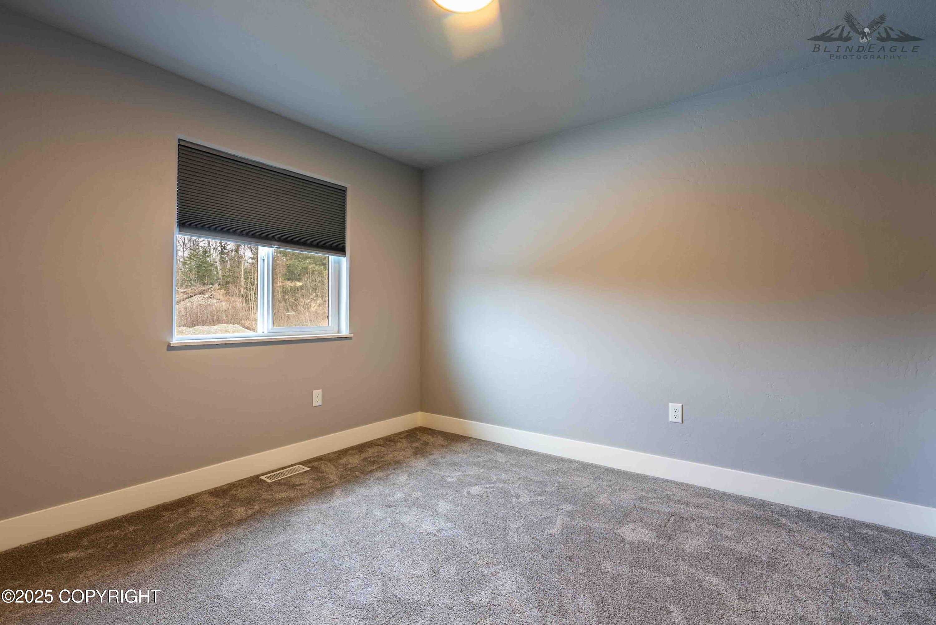 Palmer, Alaska 99645, United States, 4 Bedrooms Bedrooms, ,2 BathroomsBathrooms,Residential,Active,96319