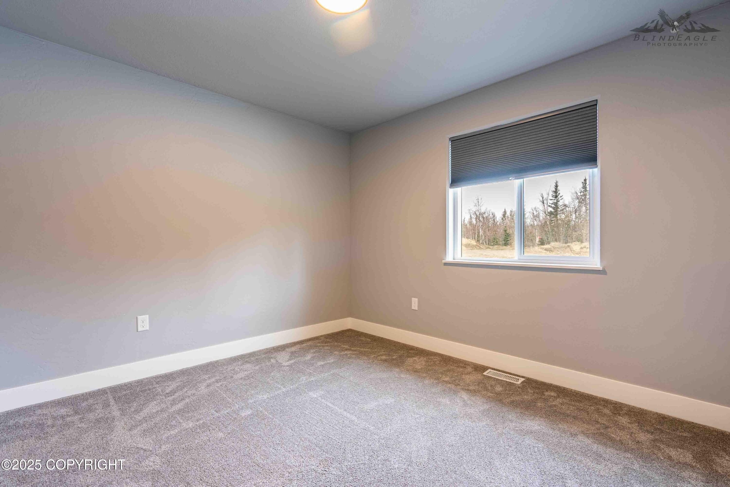 Palmer, Alaska 99645, United States, 4 Bedrooms Bedrooms, ,2 BathroomsBathrooms,Residential,Active,96319