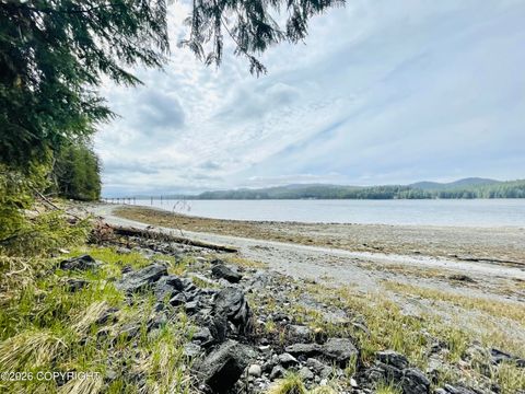 Photo of B22 L9 Whale Pass Waterfront, Whale Pass, AK 99950 (MLS # 26-5494)