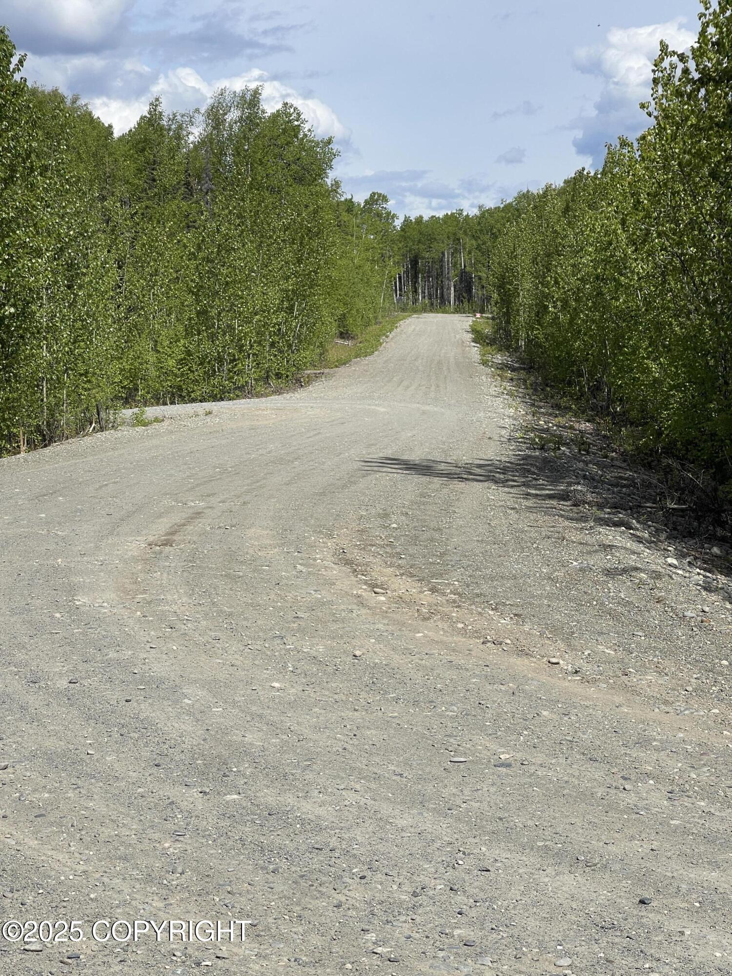 68641 S Denali Vista Drive, Willow, Alaska image 37