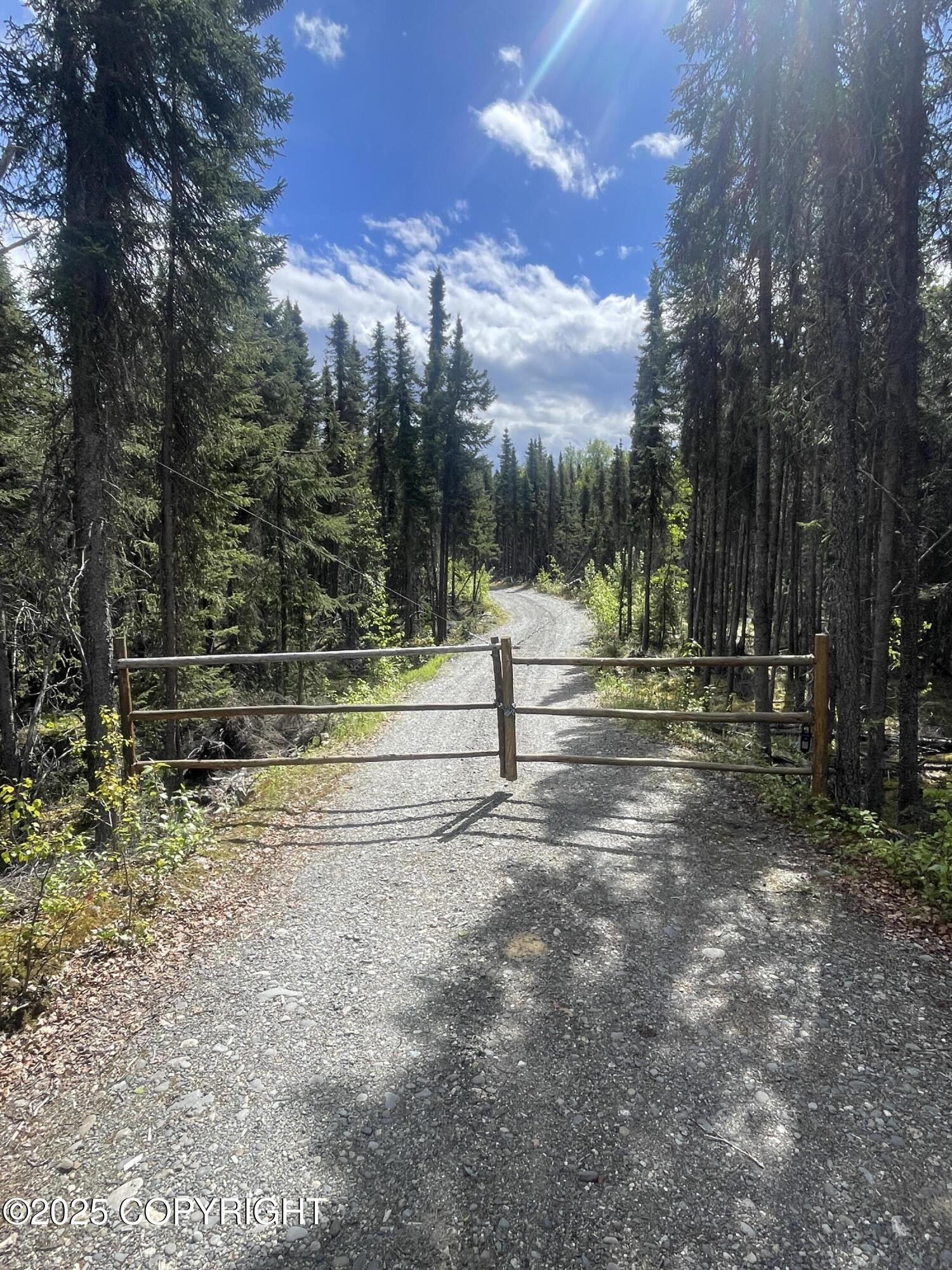 68641 S Denali Vista Drive, Willow, Alaska image 35