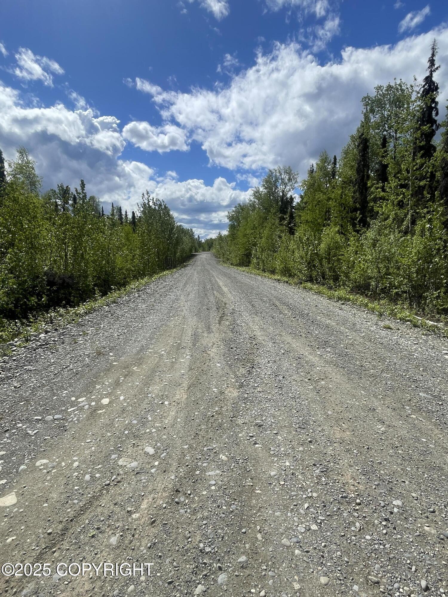68641 S Denali Vista Drive, Willow, Alaska image 36