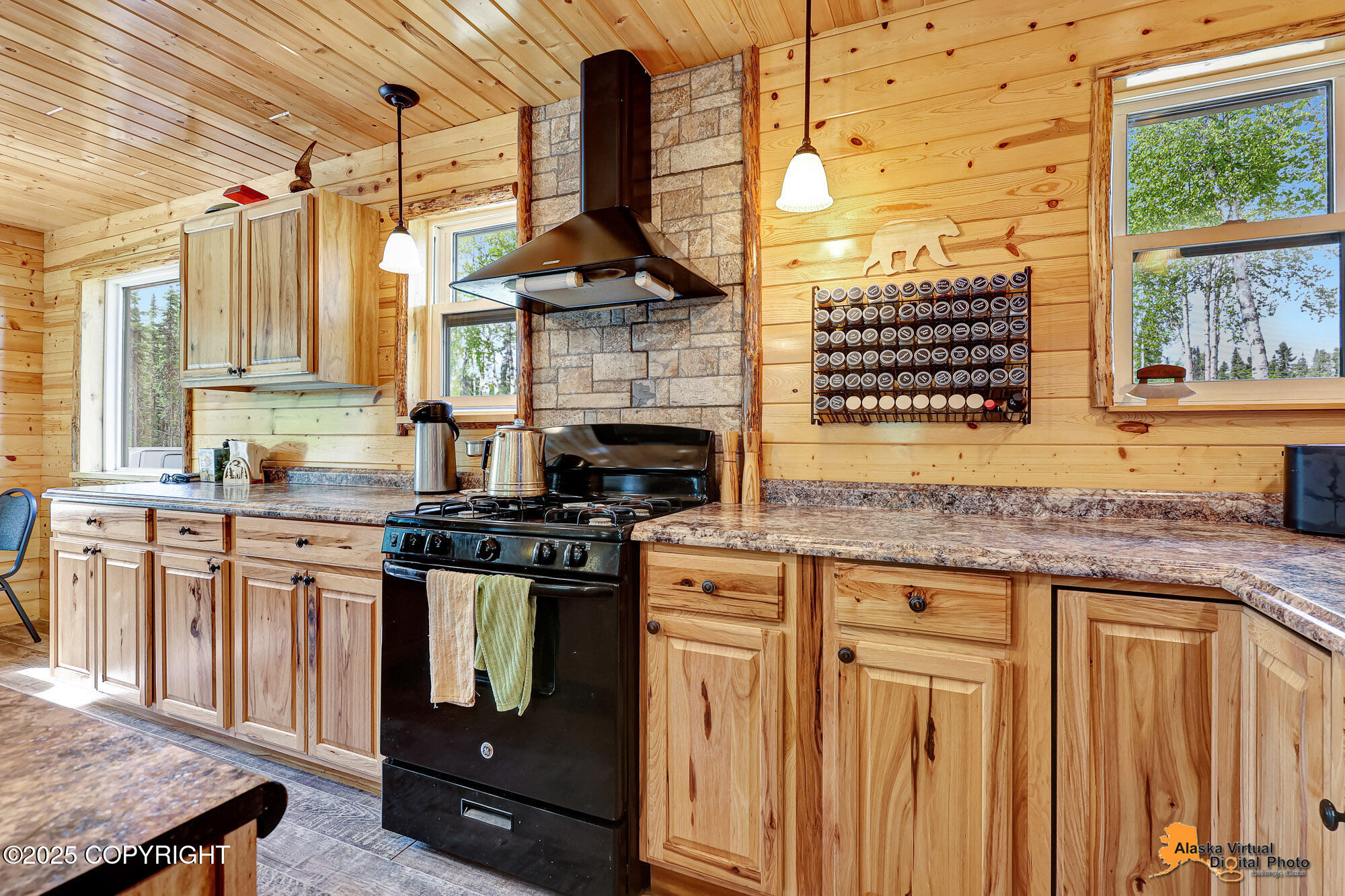 68641 S Denali Vista Drive, Willow, Alaska image 4