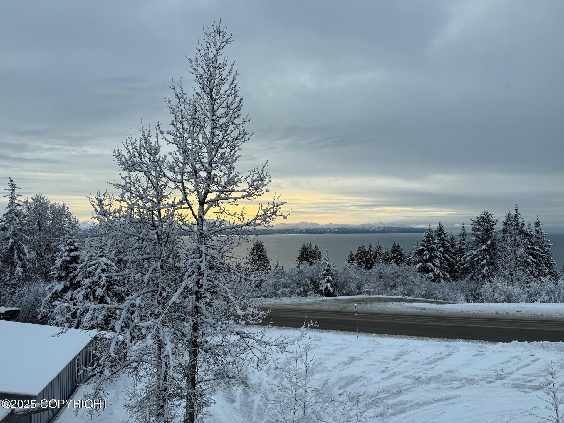 Homer, Alaska 99603, United States, 4 Bedrooms Bedrooms, ,5 BathroomsBathrooms,Residential,Active,11882