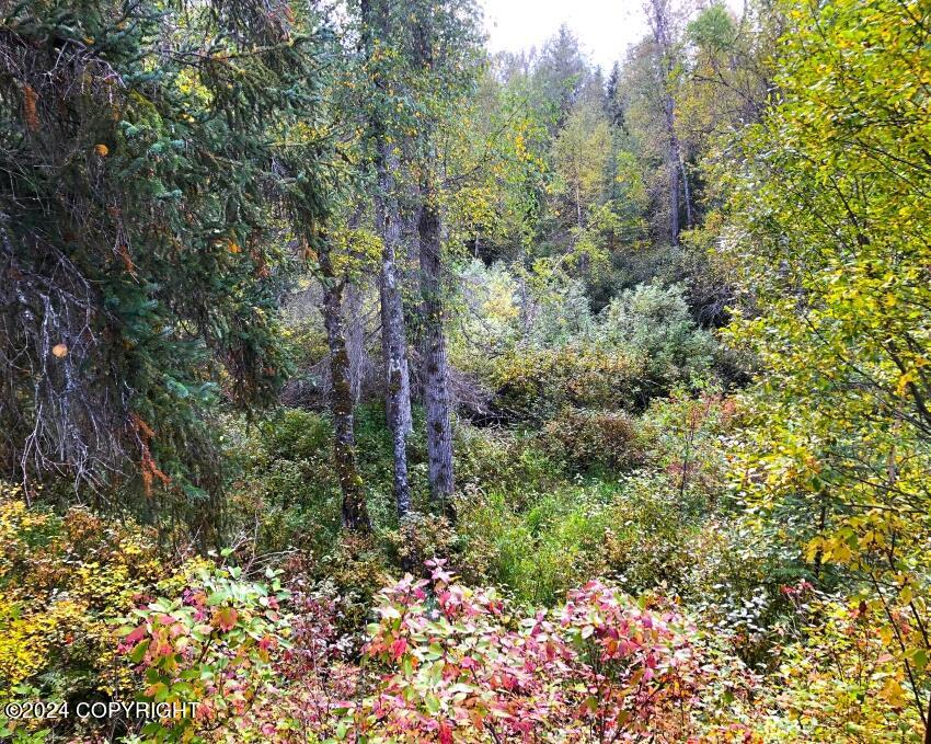 505 Jumping Dog Lane, Haines, Alaska image 26