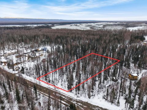 Photo of 15822 E Greenleaf Drive, Talkeetna, AK 99676 (MLS # 26-3988)