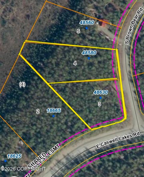 Vacant Land For Sale - 48580 S Brown Bear Road<br/> Willow, AK 99688