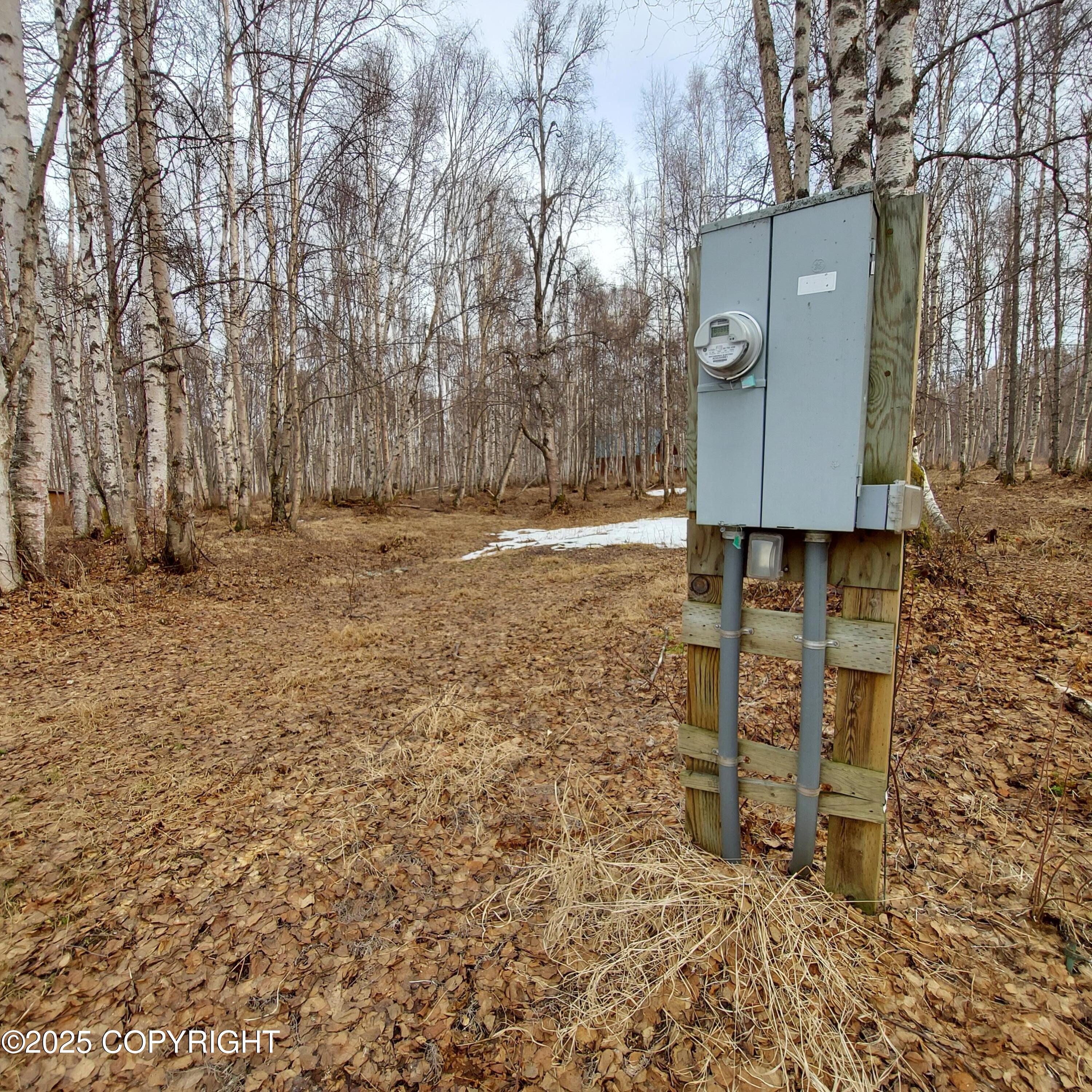 49623 S Hunter Drive, Willow, Alaska image 2