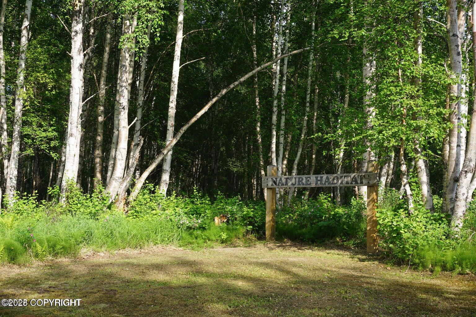 49623 S Hunter Drive, Willow, Alaska image 6