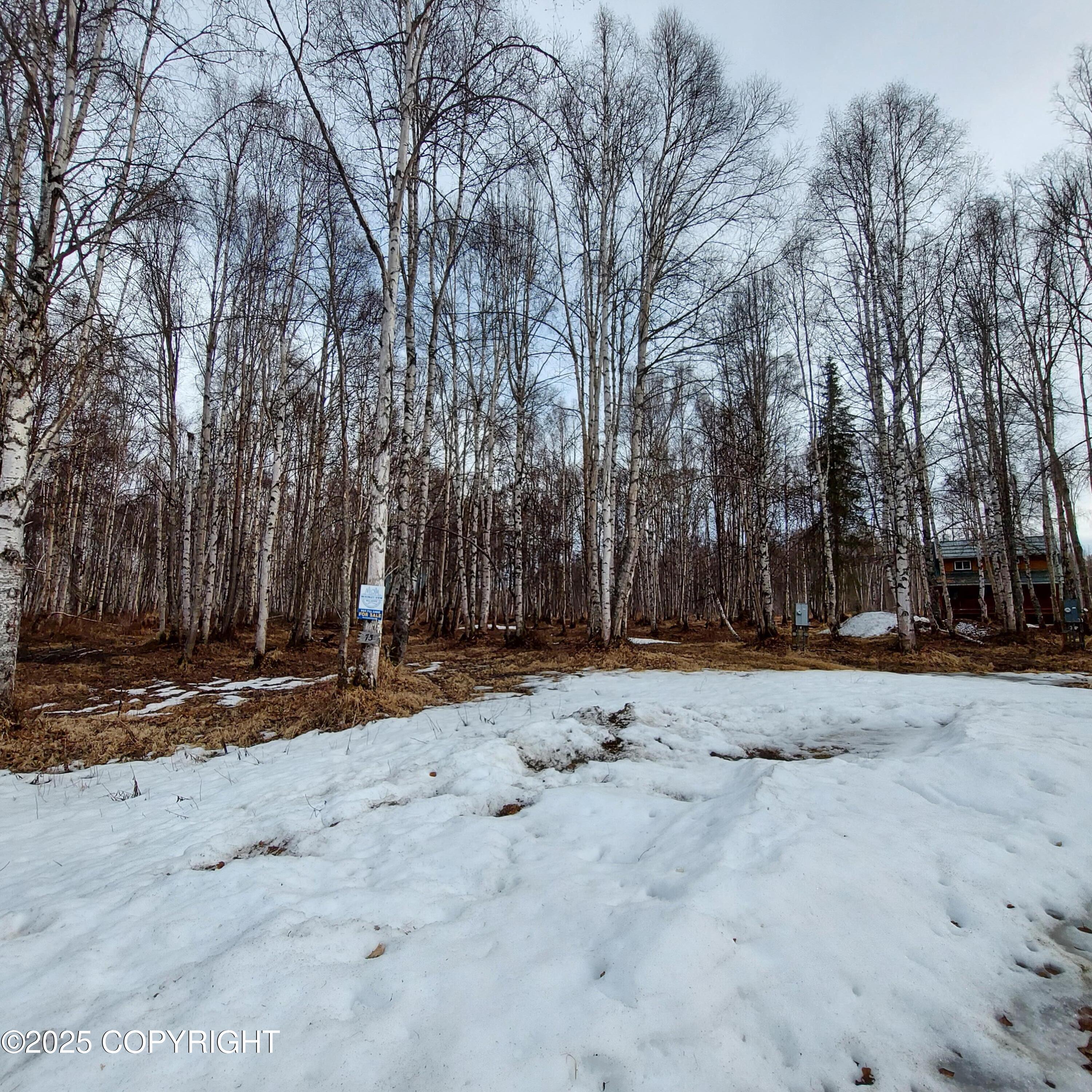 49623 S Hunter Drive, Willow, Alaska image 3
