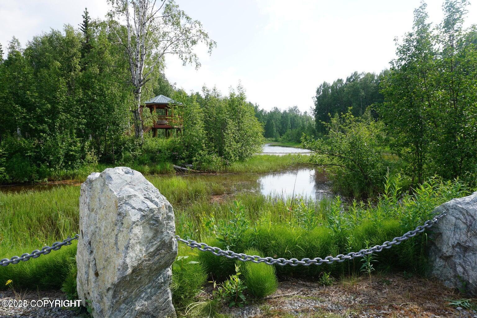 49623 S Hunter Drive, Willow, Alaska image 10
