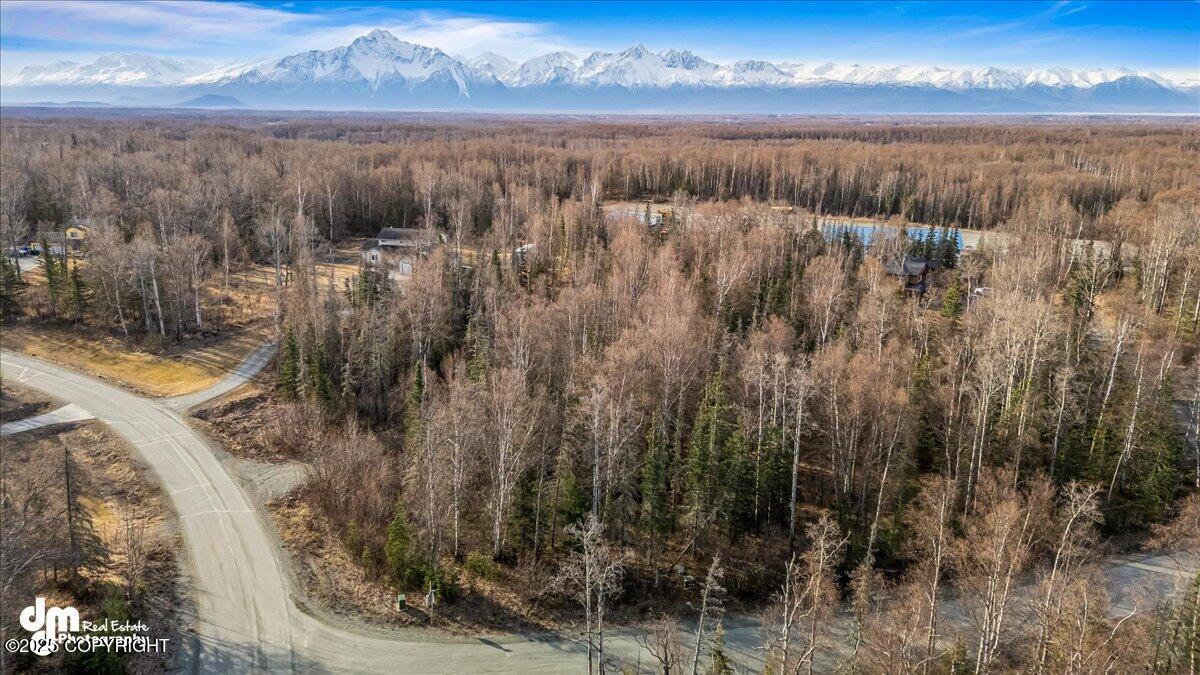 7595 N Highlander Loop, Palmer, Alaska image 5