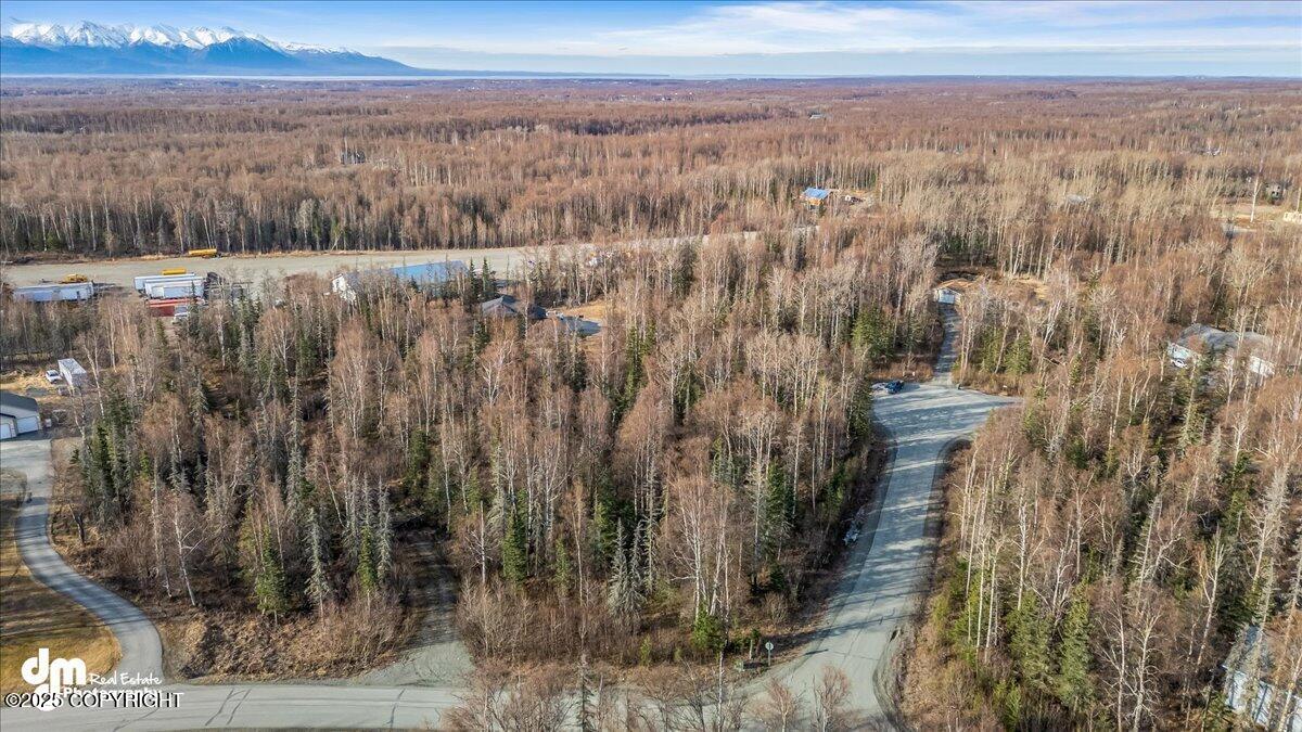 7595 N Highlander Loop, Palmer, Alaska image 3