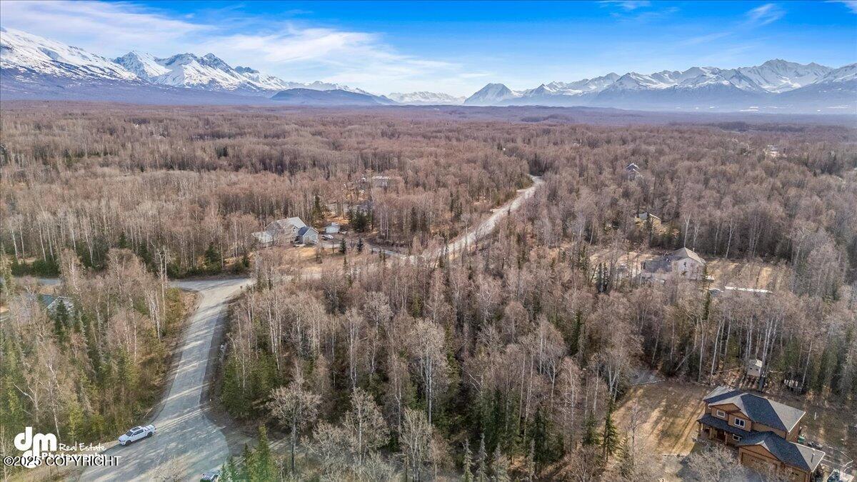 7595 N Highlander Loop, Palmer, Alaska image 7