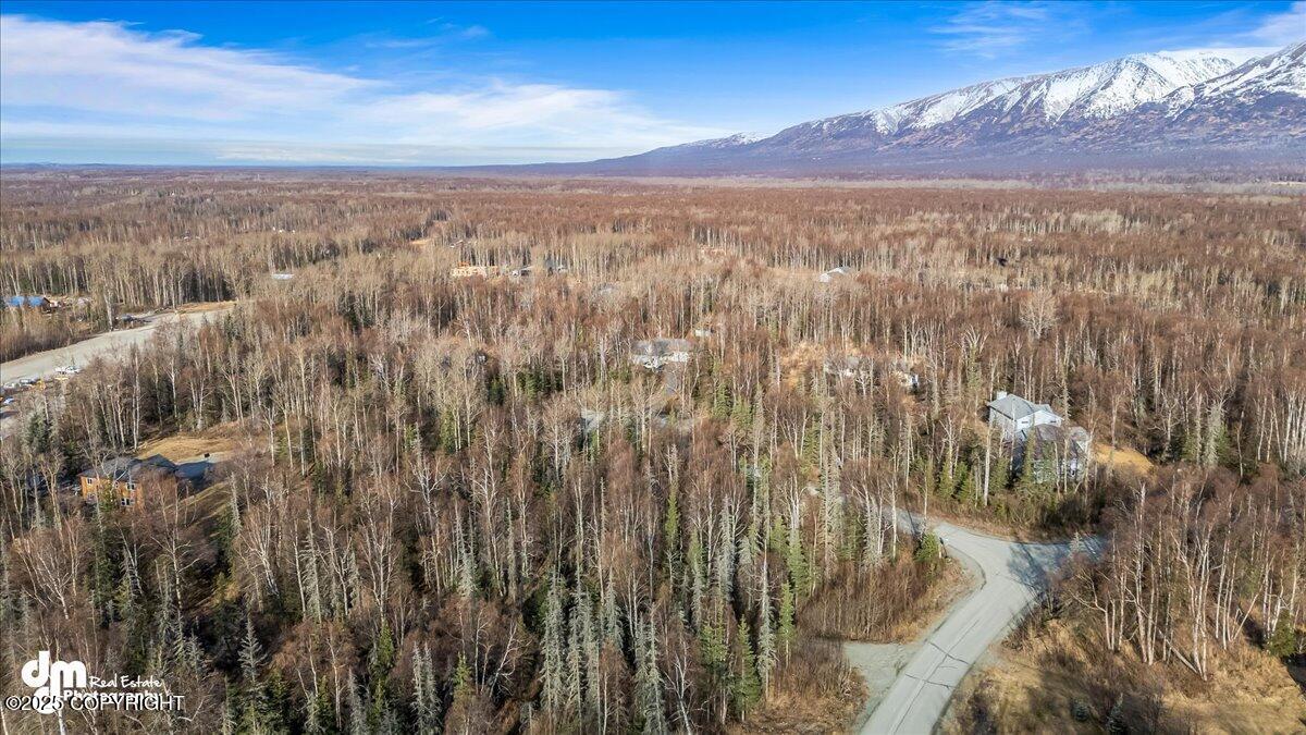 7595 N Highlander Loop, Palmer, Alaska image 4