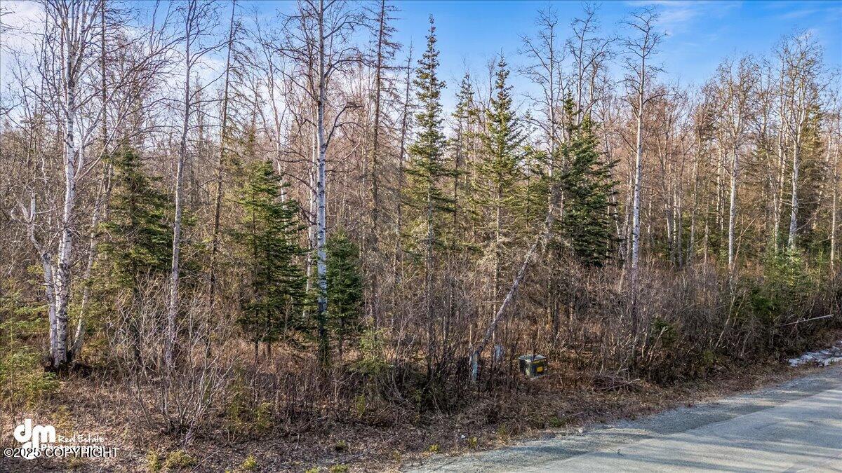 7595 N Highlander Loop, Palmer, Alaska image 14