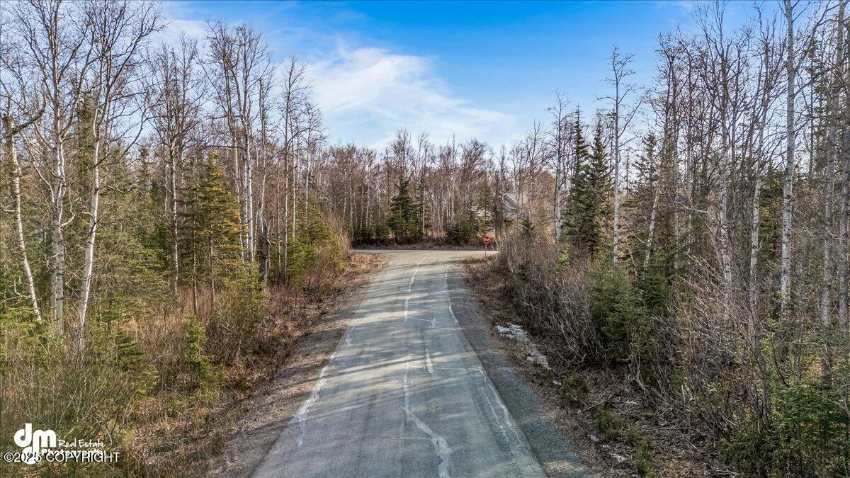 7595 N Highlander Loop, Palmer, Alaska image 9