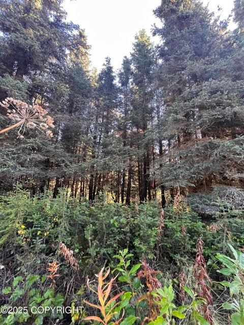 Vacant Land For Sale - L8 Shegota Loop<br/> Ninilchik, AK 99639