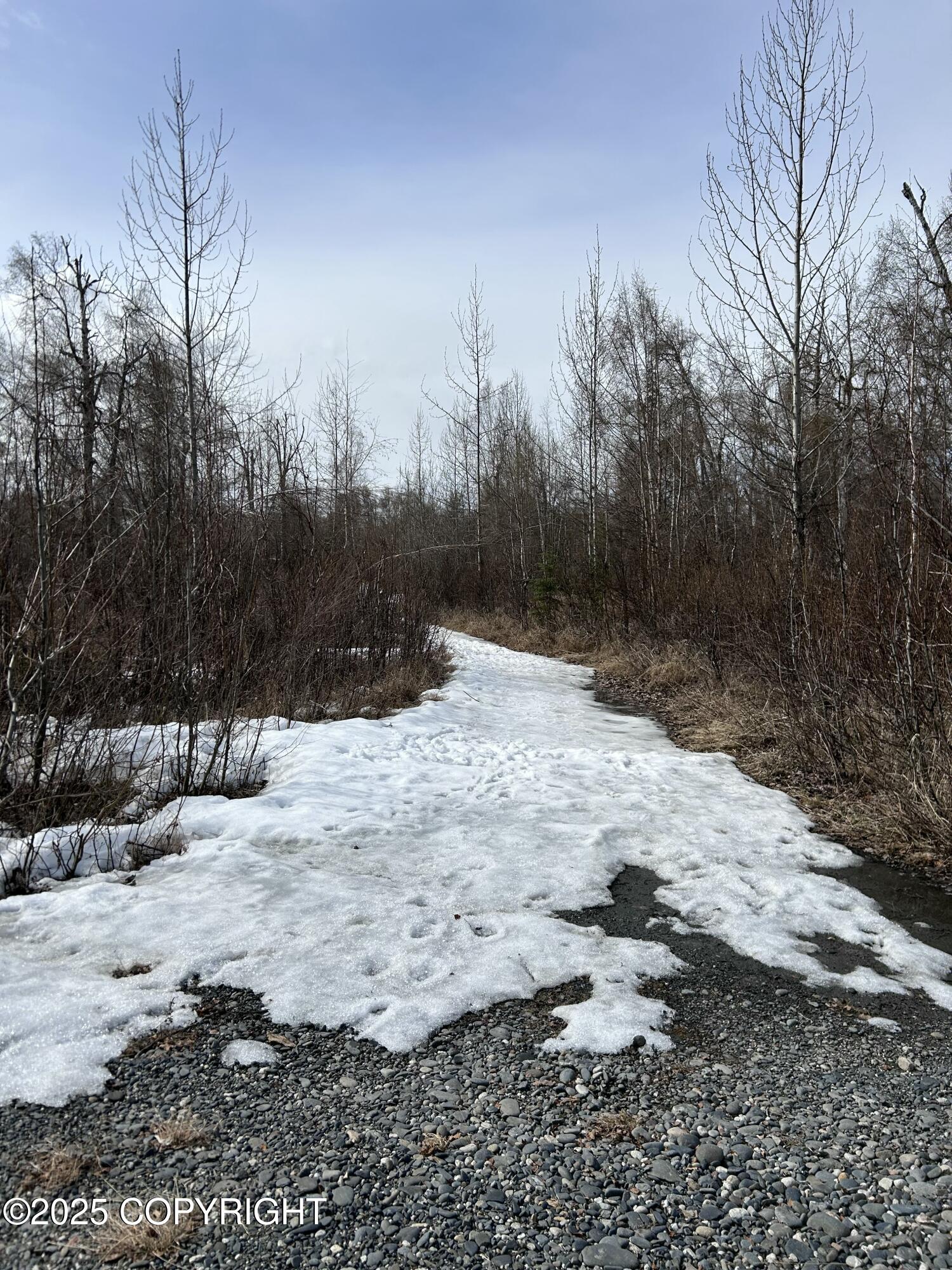 L1 & L6 Trapline, Trapper Creek, Alaska image 2